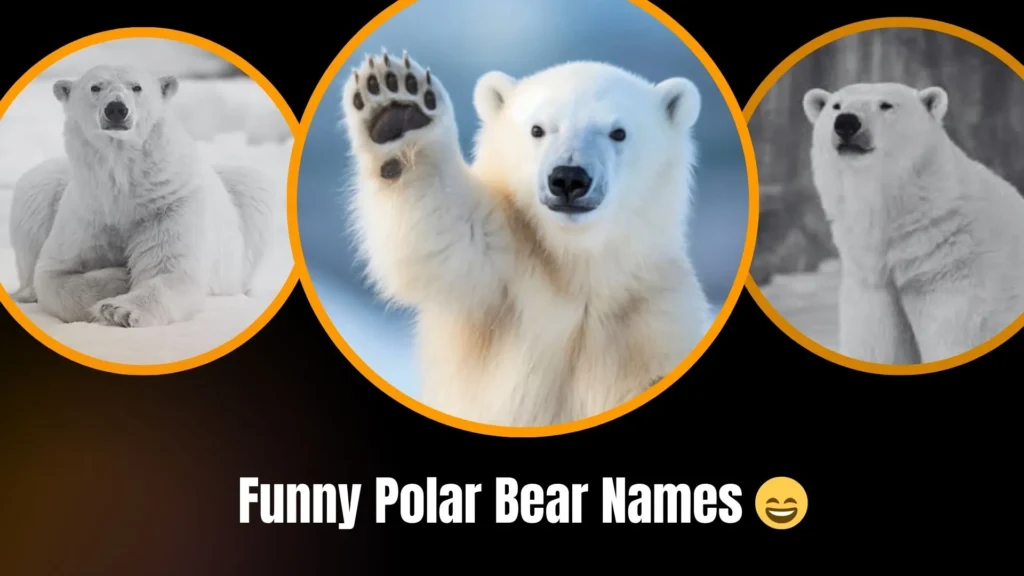 Funny Polar Bear Names