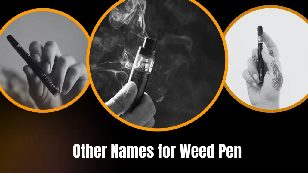 Other Names for Weed Pen