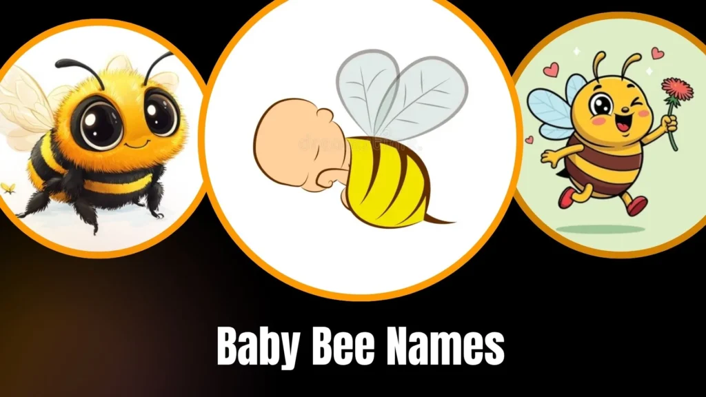Baby Bee Names