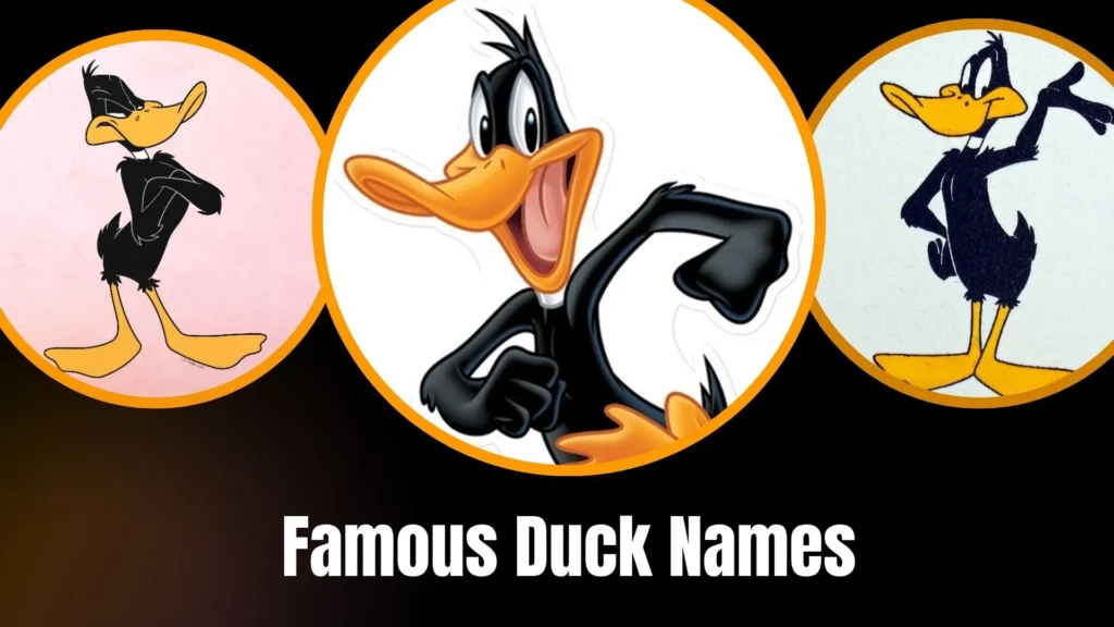 Famous Duck Names