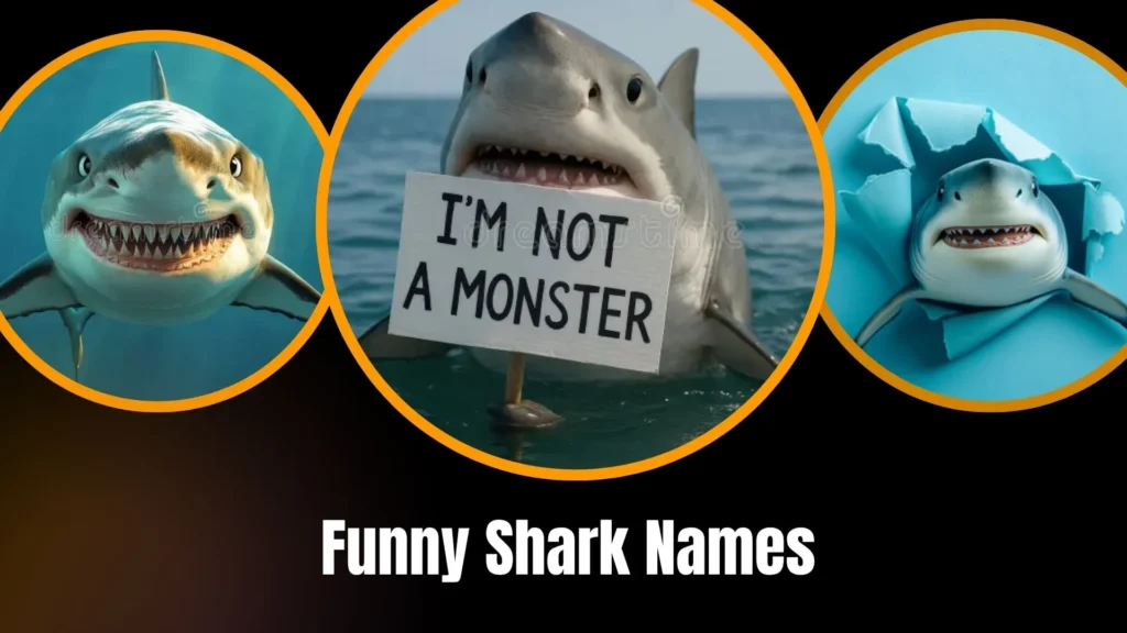 Funny Shark Names