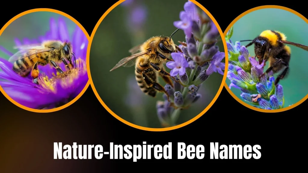 Nature-Inspired Bee Names