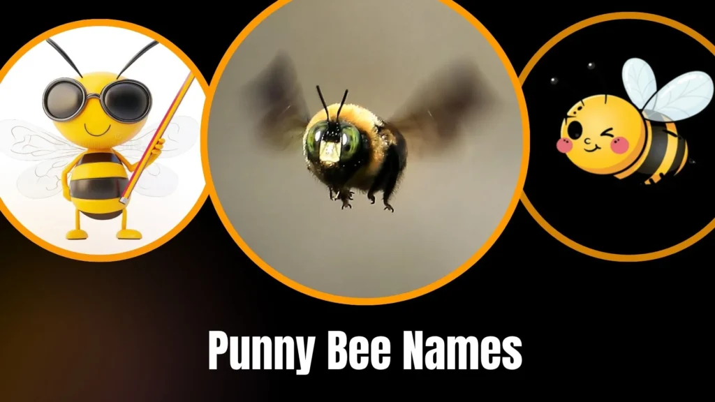 Punny Bee Names