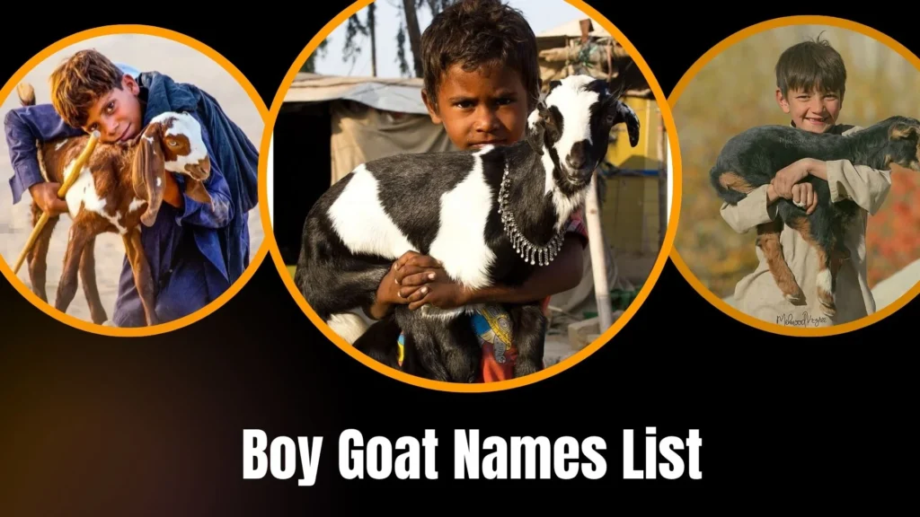 Boy Goat Names List