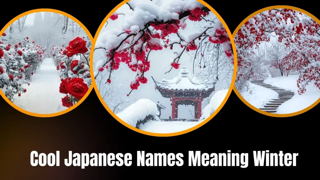 Cool Japanese Names Meaning Winter