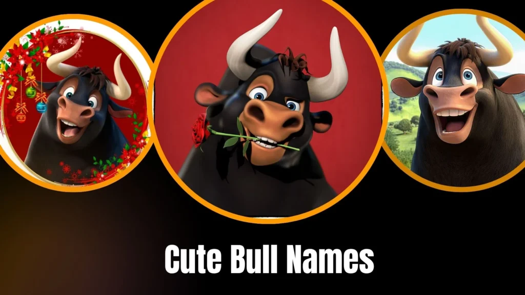 Cute Bull Names