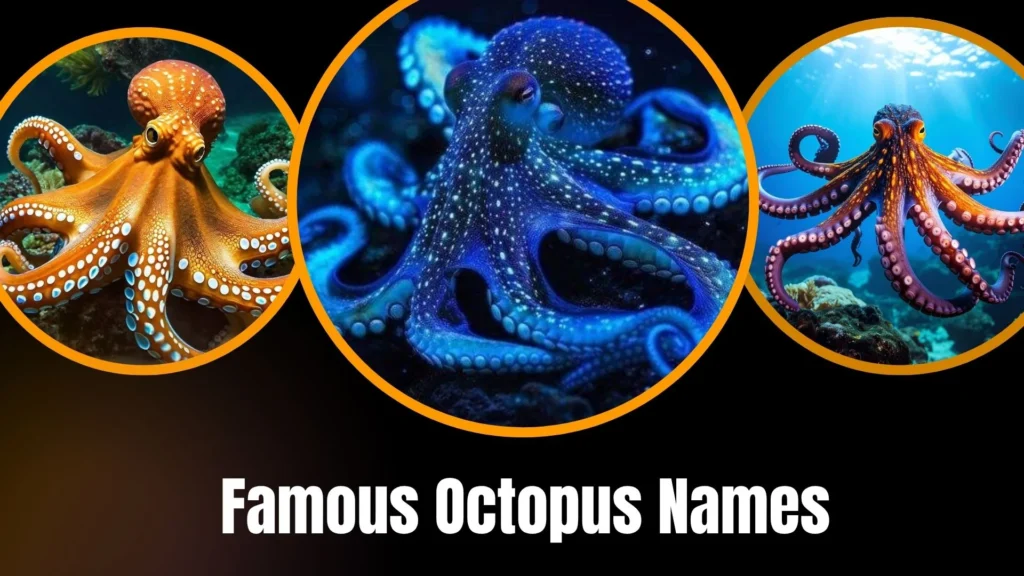 Famous Octopus Names