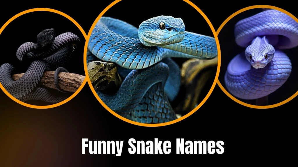 Funny Snake Names