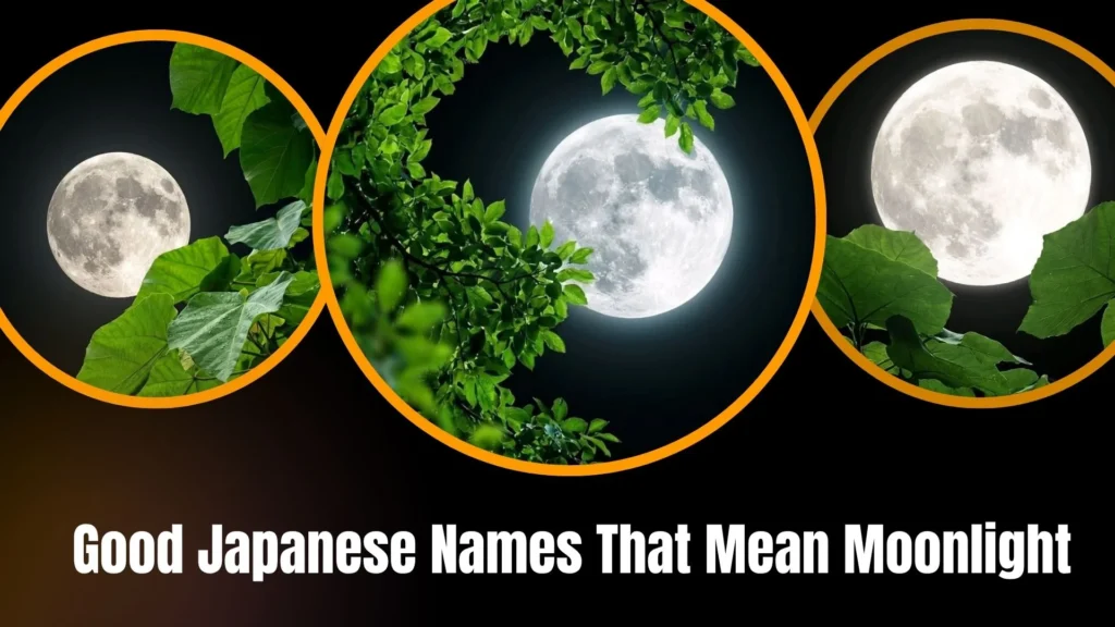 Good Japanese Names That Mean Moonlight