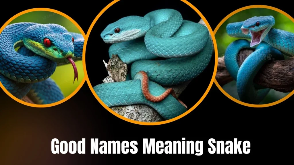 Good Names Meaning Snake