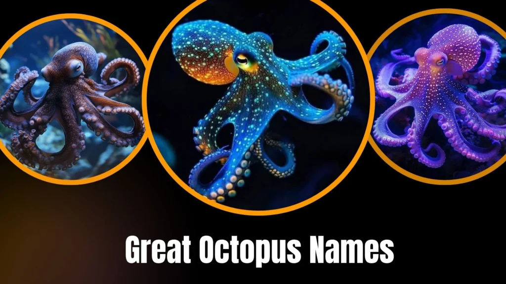 Great Octopus Names
