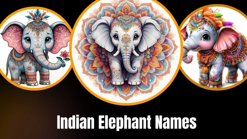 Indian Elephant Names