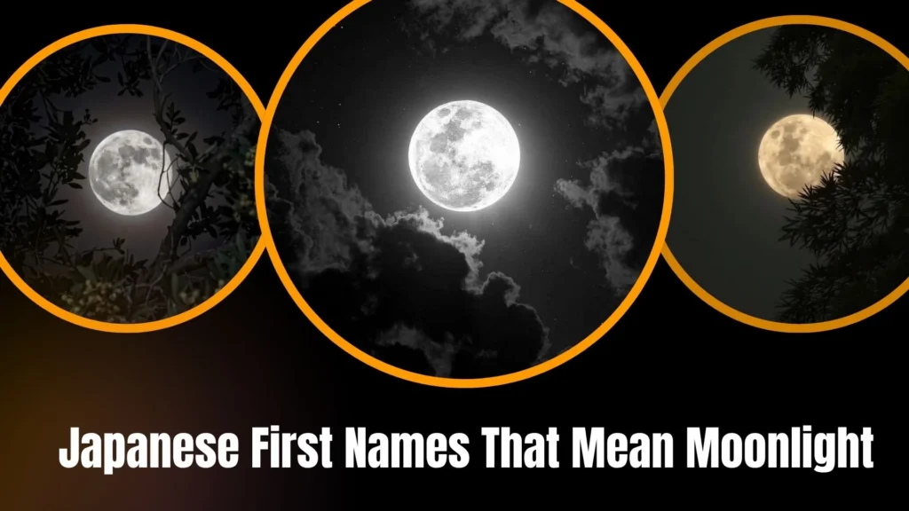 Japanese First Names That Mean Moonlight