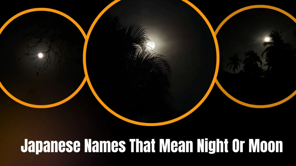 Japanese Names That Mean Night Or Moon
