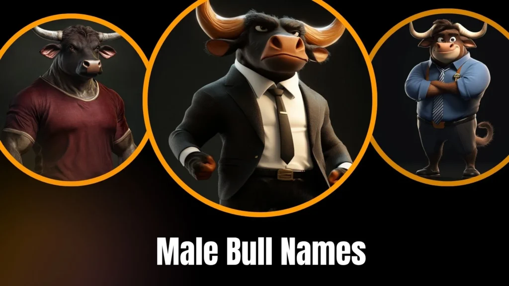 Male Bull Names