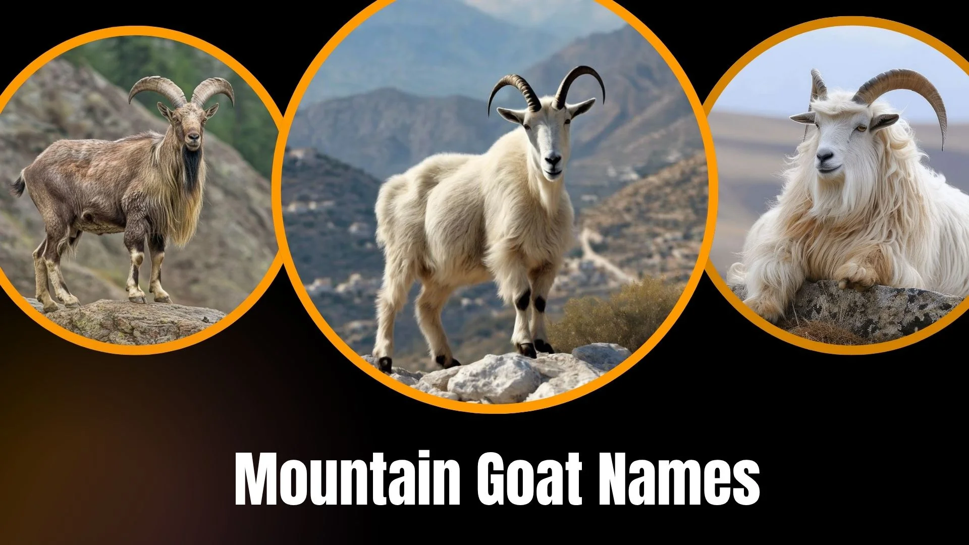 Mountain Goat Names