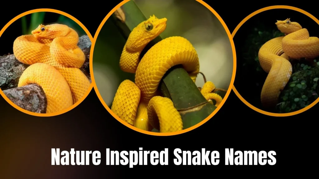 Nature Inspired Snake Names