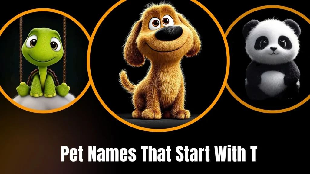 Pet Names That Start With T