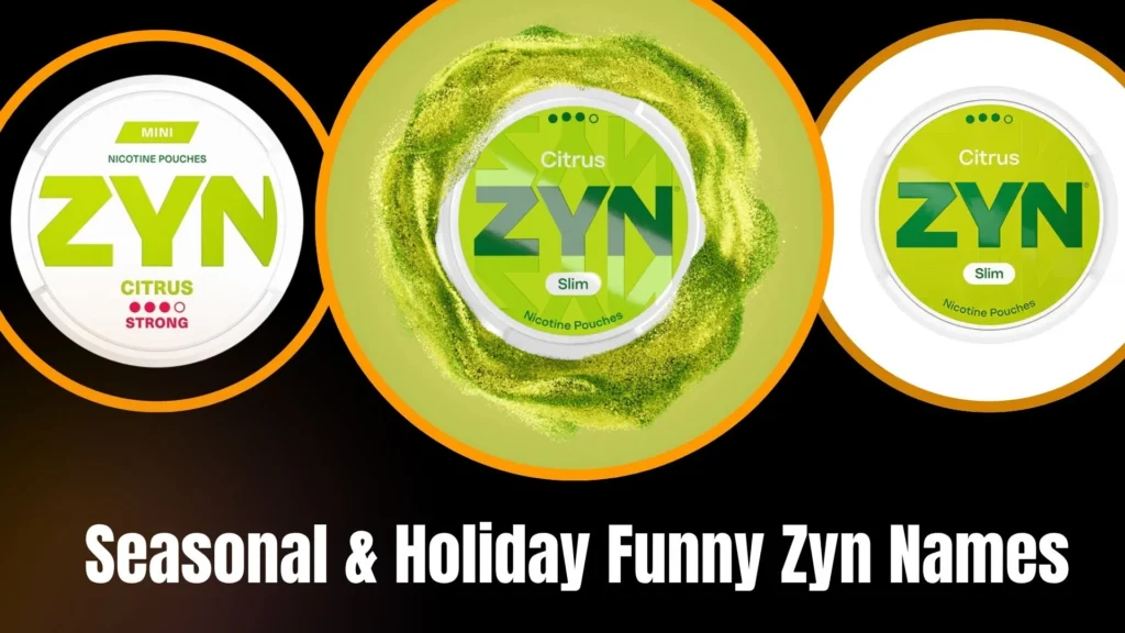 Seasonal & Holiday Funny Zyn Names