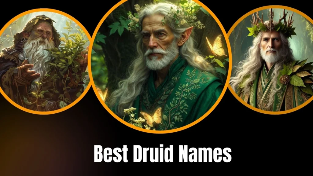 Best Druid Names
