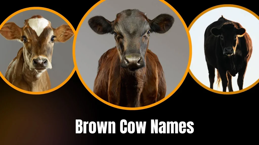 Brown Cow Names