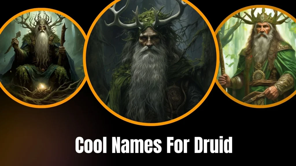 Cool Names For Druid