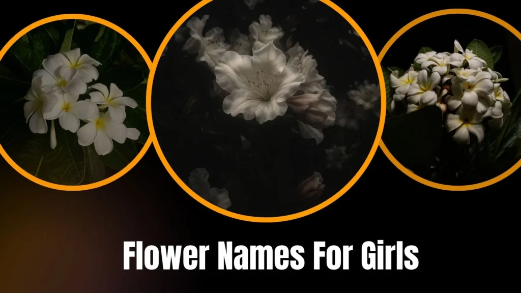 Flower Names For Girls