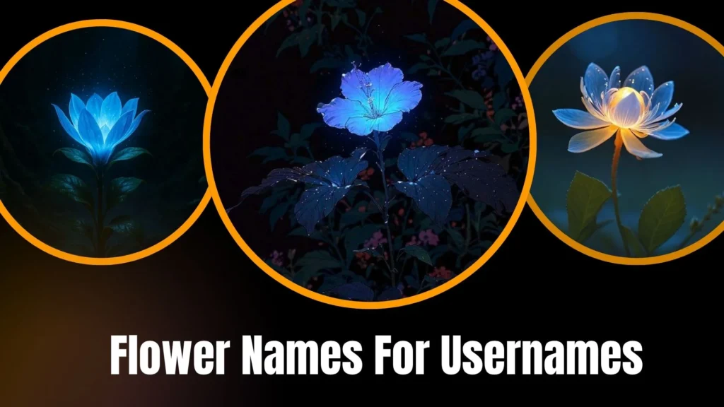 Flower Names For Usernames