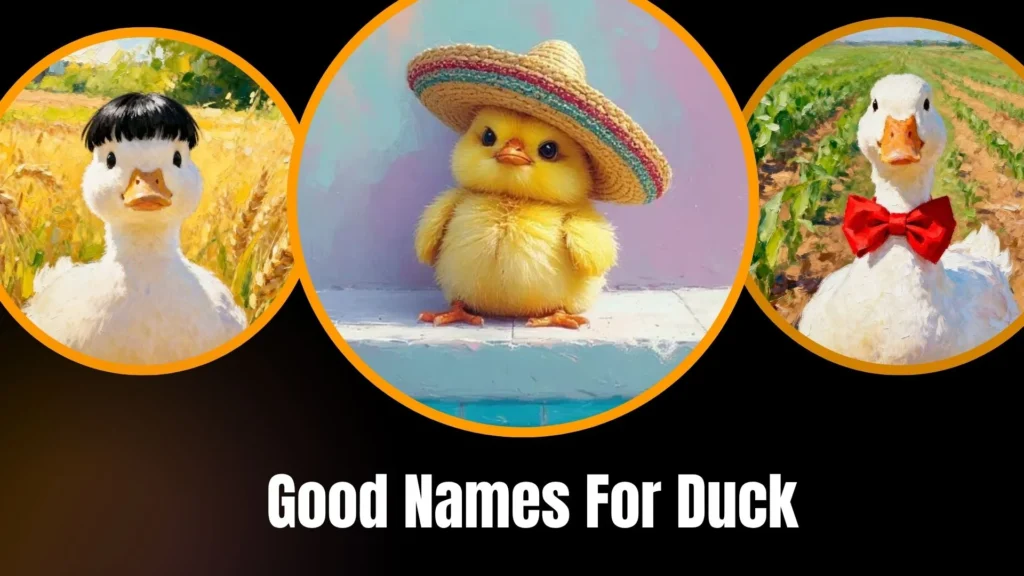 Good Names For Duck