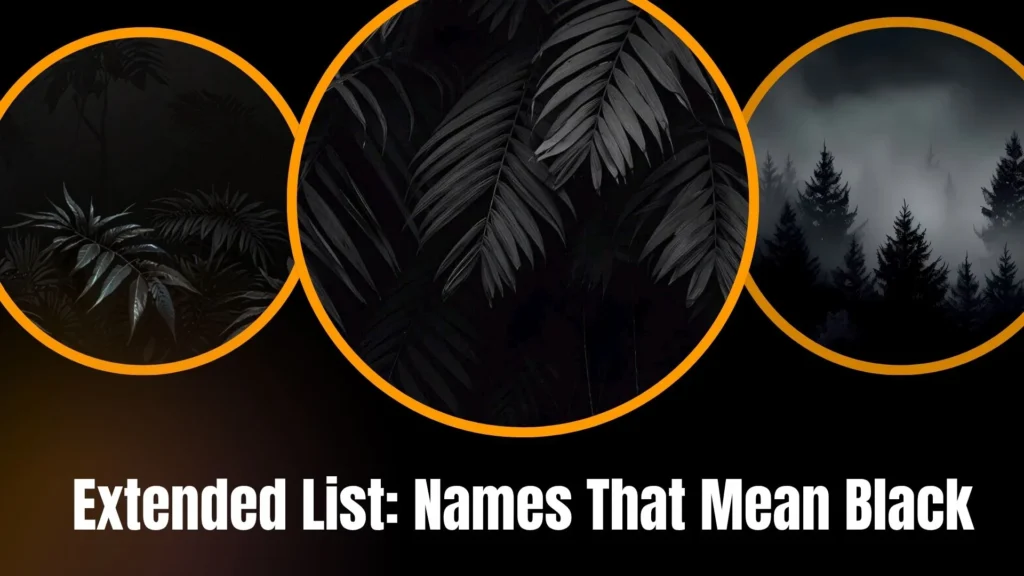 Extended List: Names That Mean Black