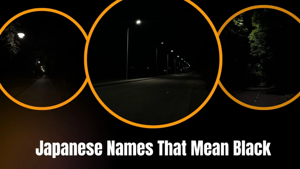 Japanese Names That Mean Black