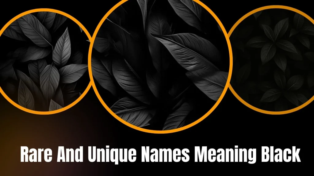 Rare And Unique Names Meaning Black
