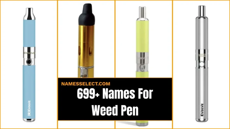 699+ Best Names For Weed Pen: Funny Nicknames 2026