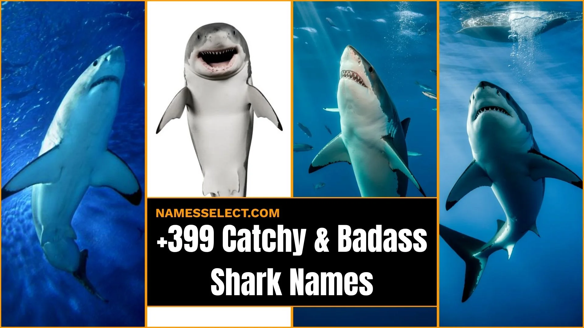 399+ Catchy And Badass Shark Names With Generator