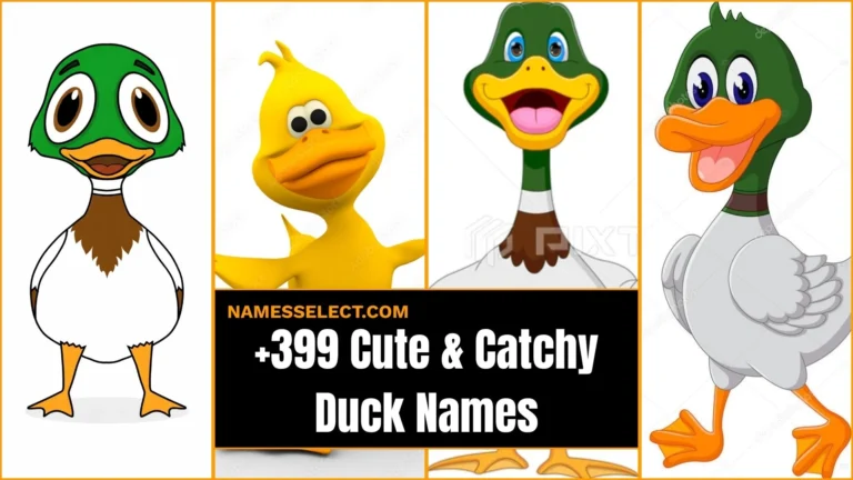 399+ Cute And Catchy Duck Names With Name Generator