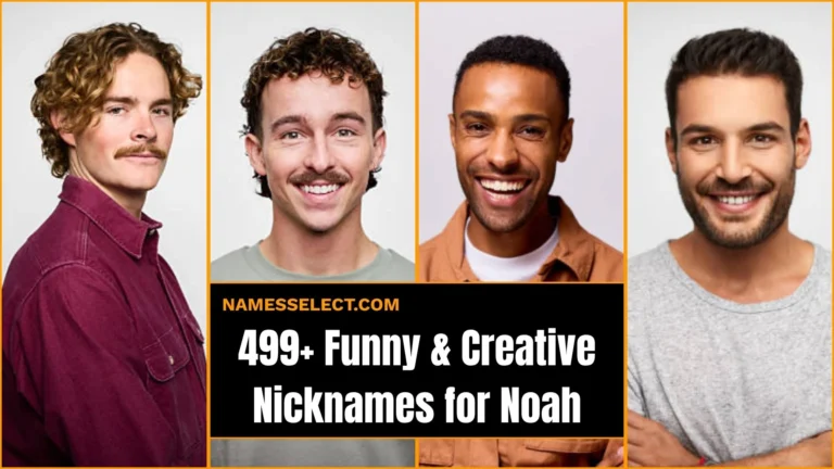 499+ Funny & Creative Nicknames for Noah