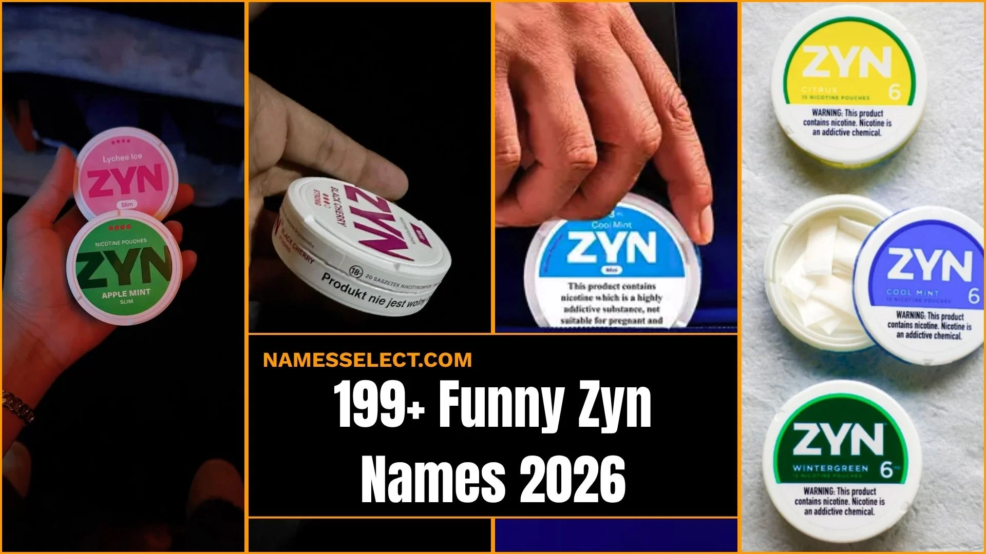 199+ Funny Zyn Names: That Will Crack You Up In 2026 (Ultimate List!)