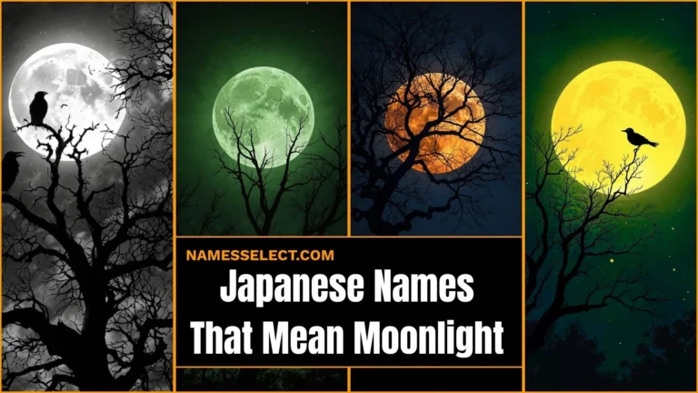 599+ Beautiful Japanese Names That Mean Moonlight: Parents Are Secretly Falling In Love With