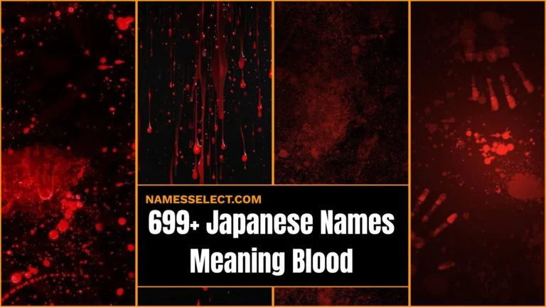 699+ Japanese Names Meaning Blood: That Feel Dark, Powerful And Rare