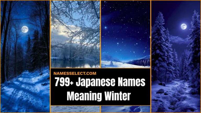 799+ Japanese Names Meaning Winter: Boys, Girls And Babies You Will Instantly Love