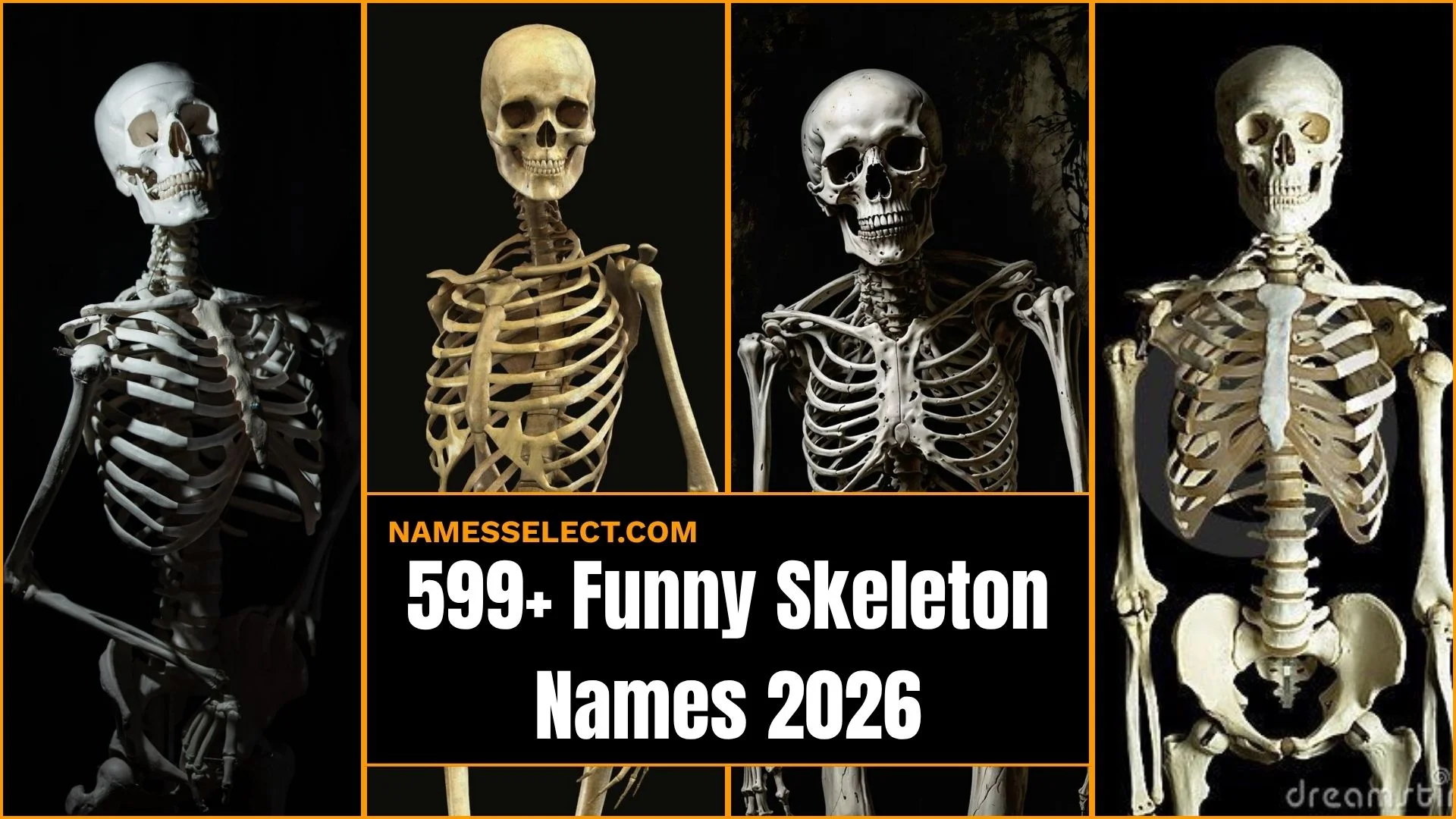 599+ Funny Skeleton Names (2026 List) That Will Crack You Up!