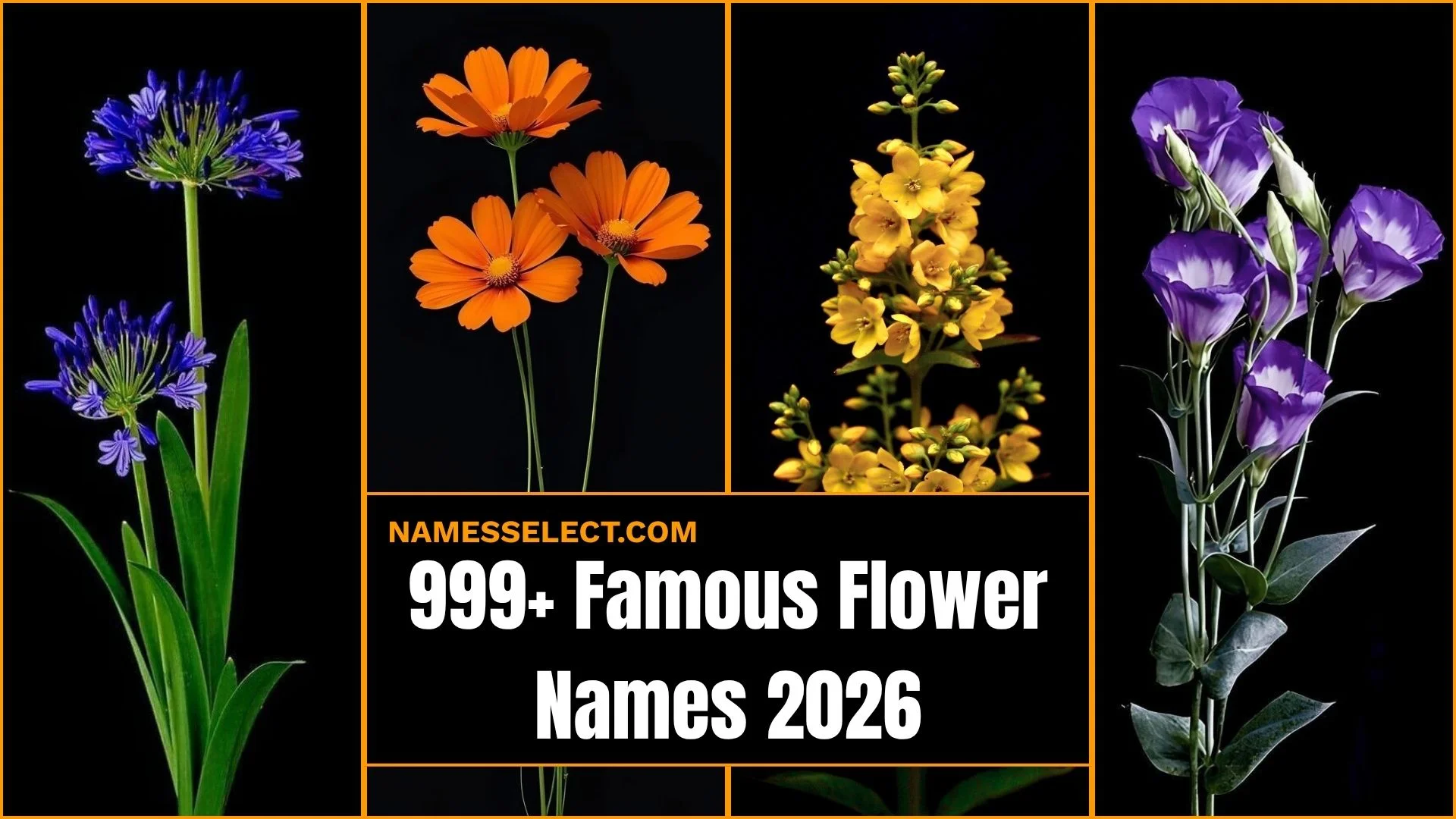 999+ Flower Names So Beautiful You Will Want To Save Them All 