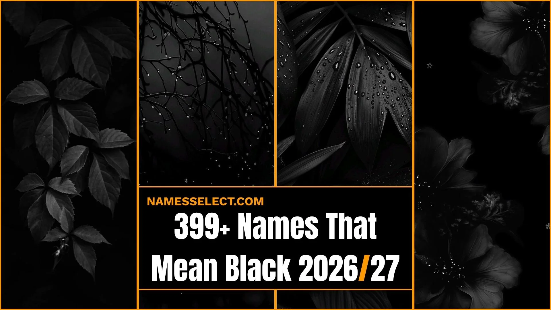 399+ Names That Mean Black With Powerful Meanings You Will Absolutely Love In 2026
